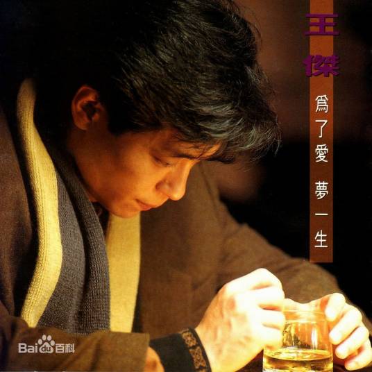为什么（王杰演唱歌曲）