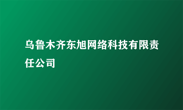 乌鲁木齐东旭网络科技有限责任公司