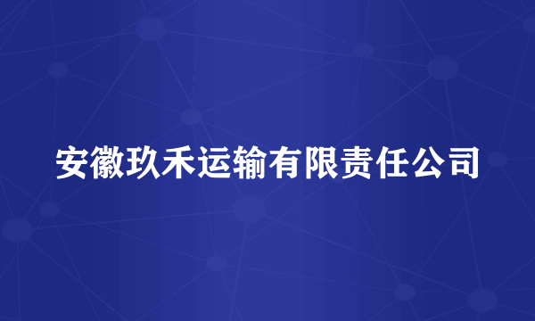 安徽玖禾运输有限责任公司