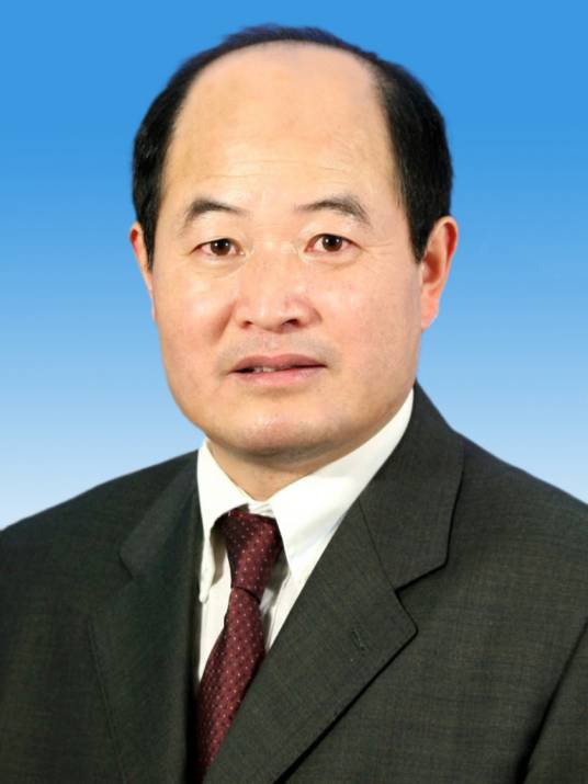 石勇（发展中国家科学院院士、国际欧亚科学院院士、最优化数据挖掘专家）