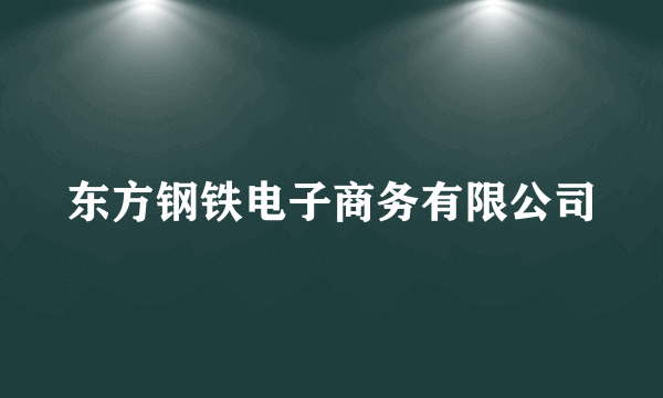 东方钢铁电子商务有限公司