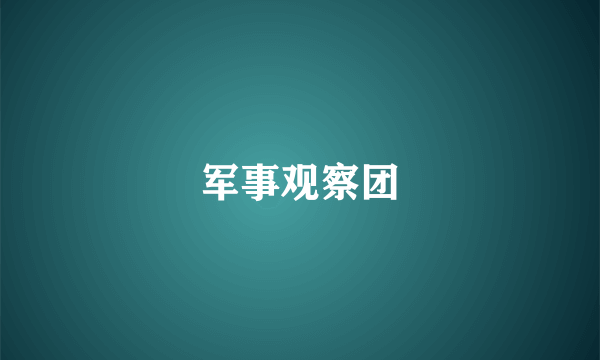 军事观察团