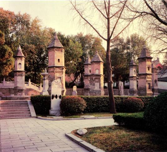 大慈恩寺塔林