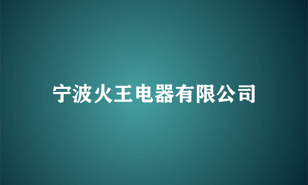 宁波火王电器有限公司