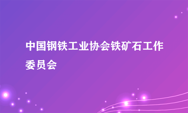 中国钢铁工业协会铁矿石工作委员会