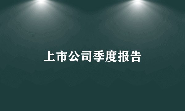 上市公司季度报告