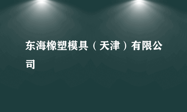 东海橡塑模具（天津）有限公司