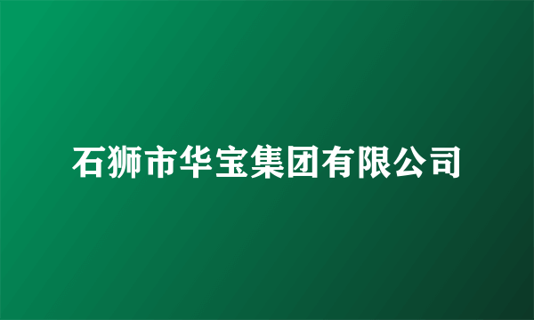 石狮市华宝集团有限公司