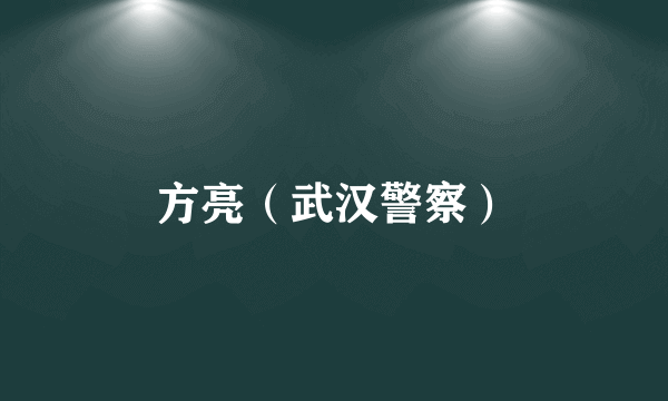 方亮（武汉警察）