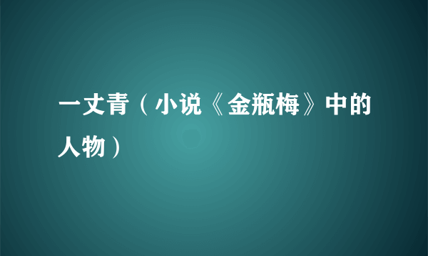 一丈青（小说《金瓶梅》中的人物）