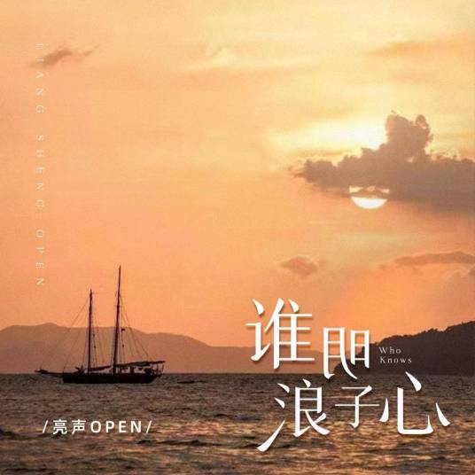 谁明浪子心（亮声open演唱的歌曲）