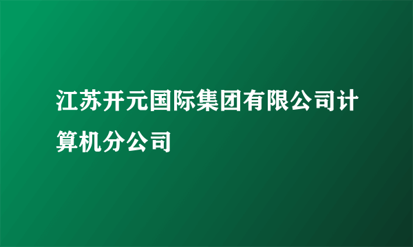 江苏开元国际集团有限公司计算机分公司