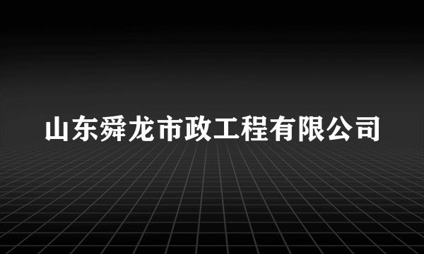 山东舜龙市政工程有限公司