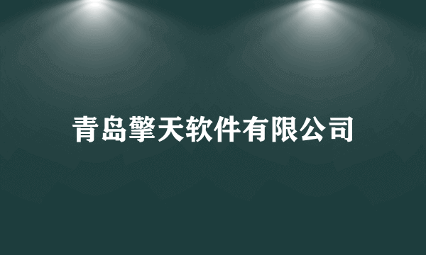 青岛擎天软件有限公司