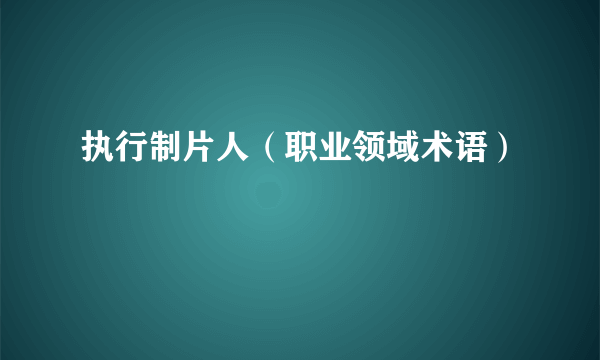 执行制片人（职业领域术语）