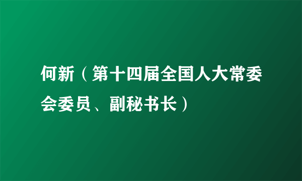 何新（第十四届全国人大常委会委员、副秘书长）