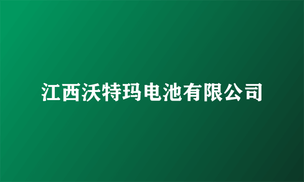 江西沃特玛电池有限公司