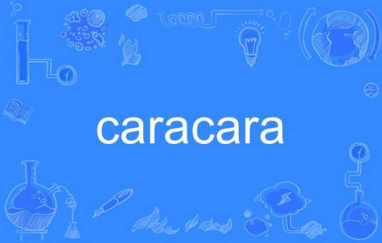 caracara（英语单词）