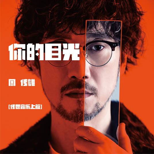 你的目光（周传雄演唱歌曲）