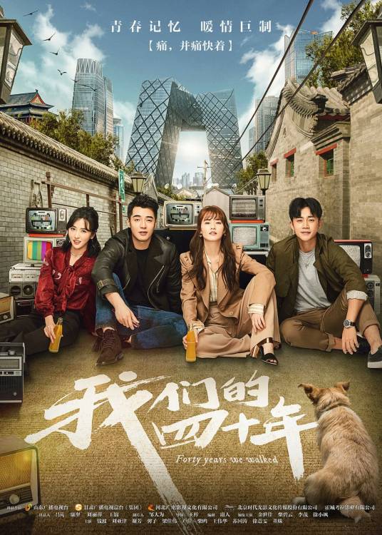 我们的四十年（2018年金世佳、柴碧云主演的青春记忆暖情剧）