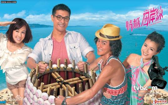 海岸线（2014年国产电视剧）