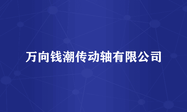 万向钱潮传动轴有限公司