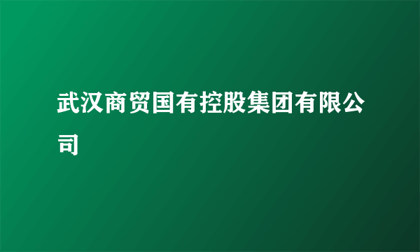 武汉商贸国有控股集团有限公司