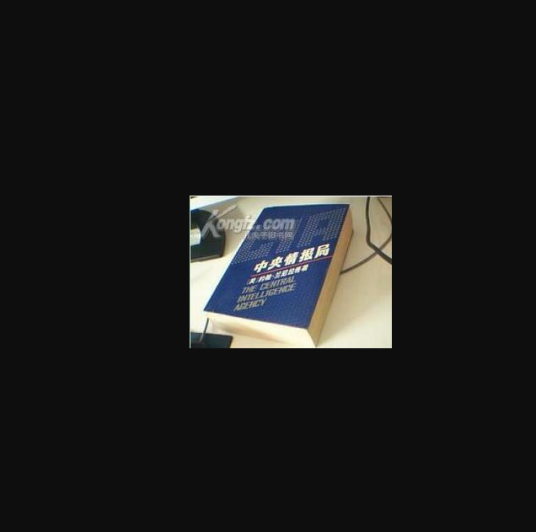 中央情报局（1990年中国社会科学出版社出版的图书）