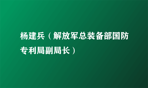 杨建兵（解放军总装备部国防专利局副局长）