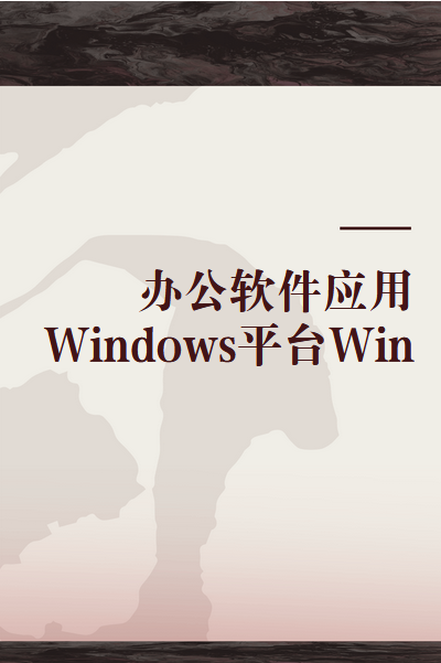 办公软件应用Windows平台Win