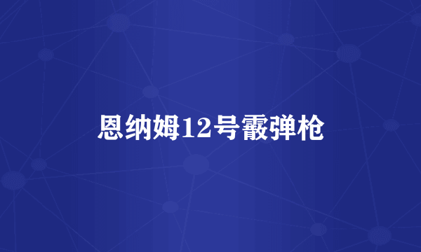 恩纳姆12号霰弹枪