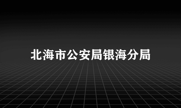 北海市公安局银海分局