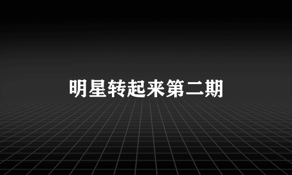 明星转起来第二期