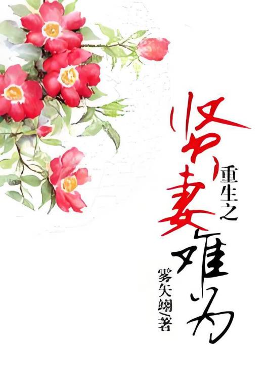 重生之贤妻难为