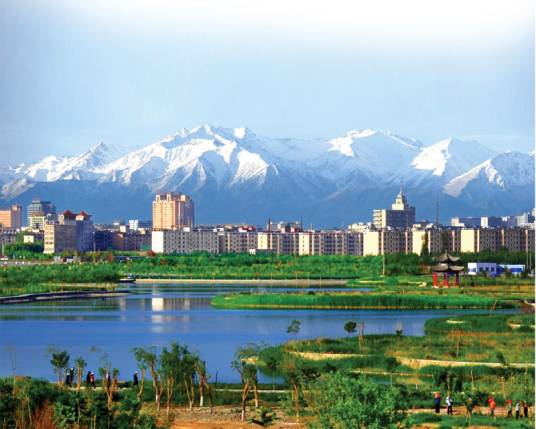 山东金乡金水湖国家湿地公园