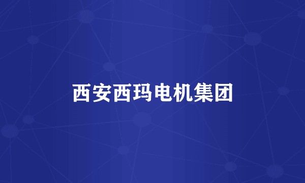 西安西玛电机集团