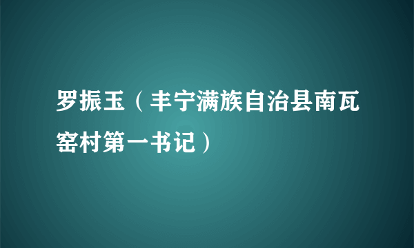 罗振玉（丰宁满族自治县南瓦窑村第一书记）