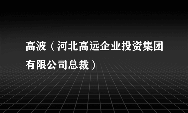 高波（河北高远企业投资集团有限公司总裁）