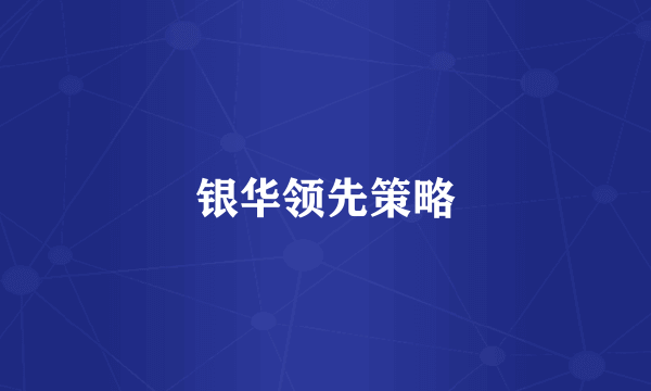 银华领先策略