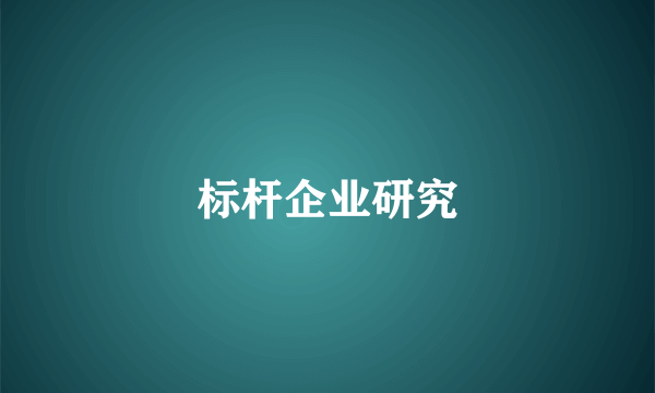 标杆企业研究