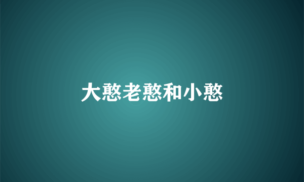 大憨老憨和小憨