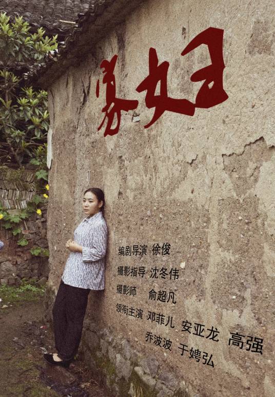 寡妇（2015年徐俊执导的电影）