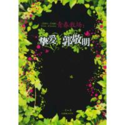 青春散场（2006年朝华出版社出版的图书）