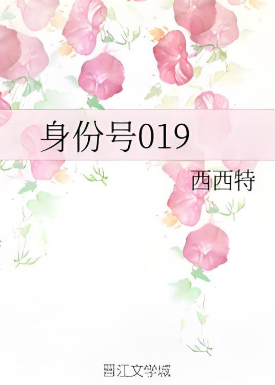 身份号019