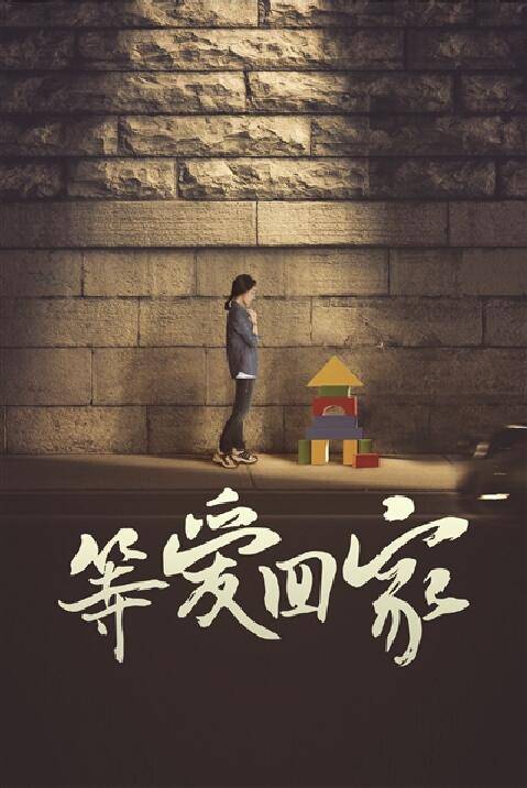 等爱回家（2014年罗浩执导电视剧）