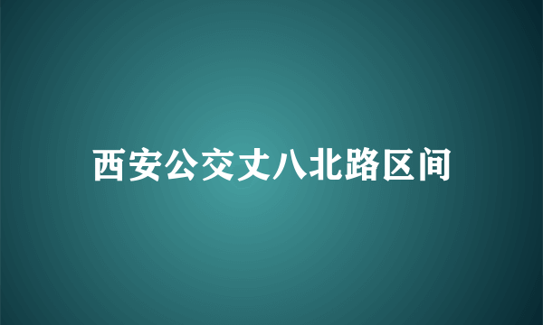 西安公交丈八北路区间