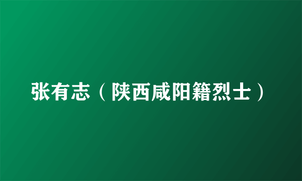 张有志（陕西咸阳籍烈士）