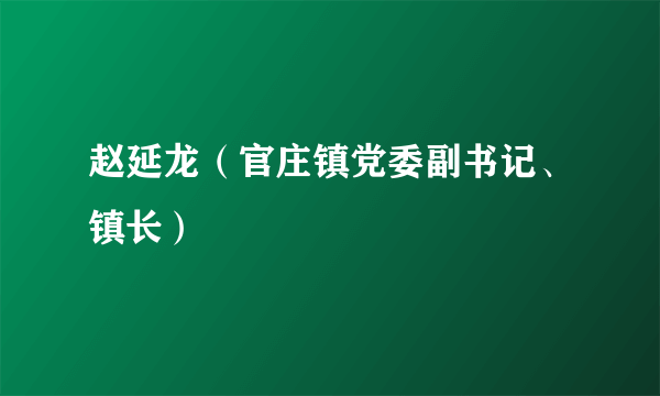 赵延龙（官庄镇党委副书记、镇长）