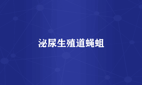 泌尿生殖道蝇蛆