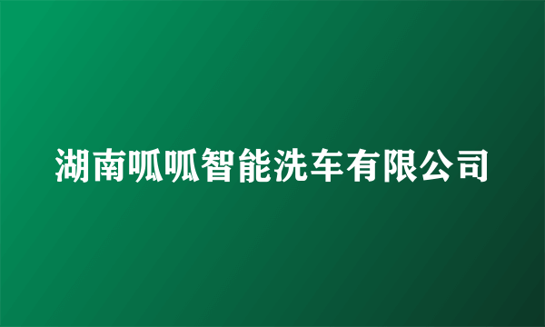 湖南呱呱智能洗车有限公司